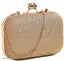 Trendy Women's Golden Resin Clutch