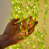 FLYNGO Artificial Leaf Curtain LED String Light, 200 LEDs, 8 Modes, Adjustable Brightness, Lights for Diwali Decoration, Home, Bedroom, Wedding, Party, Festive Decor (Warm White)