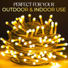 Lexton 40 LED Power Pixel Serial String/Fairy Light | Plug Sourced | Suitable for Home & Outdoor Decoration, Diwali, Christmas, Ramadan, Wedding, Party, Festival (Pack of 1, Warm White)