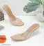 Stylish Transparent Beige heel for women
