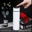 Water Bottle Stainless Steel Led Temperature Display 500 ml Bottle White