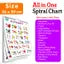 My First ALL IN ONE SPIRAL CHART : With 16 Topics ( Big Fonts and Realistic Pictures) | Gift Set For Kids