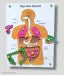 Wooden Human Body Digestive System Puzzle Board for Kids PRE Primary Education