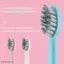 Rechargeable Electric Toothbrush with 2 Replacement Brush Heads – Soft Bristles, Deep Cleaning Sonic Technology for Healthy Oral Care