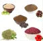 Rideena Natural Amla, Reetha, Bhrinjraj, Shikakai & Hibiscus Powder combo for hair (50 grams each) 250 gm