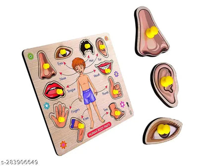 Body Part Puzzle Kids Wooden Toys for Kids 3 + Jigsaw Puzzles for Adults Baby Learning Toys Educational Toys